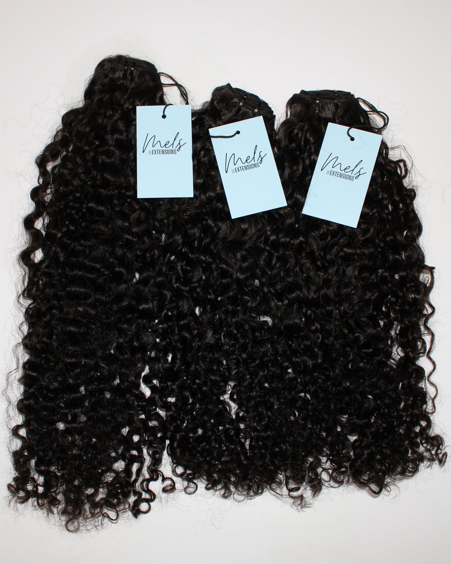 Burmese Curly